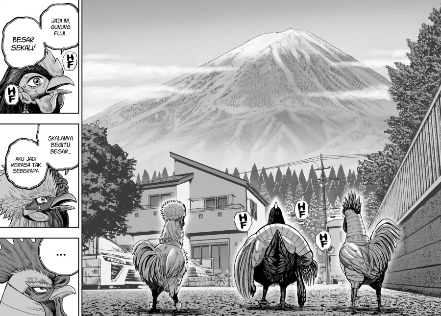 Rooster Fighter Chapter 36 - halaman 17
