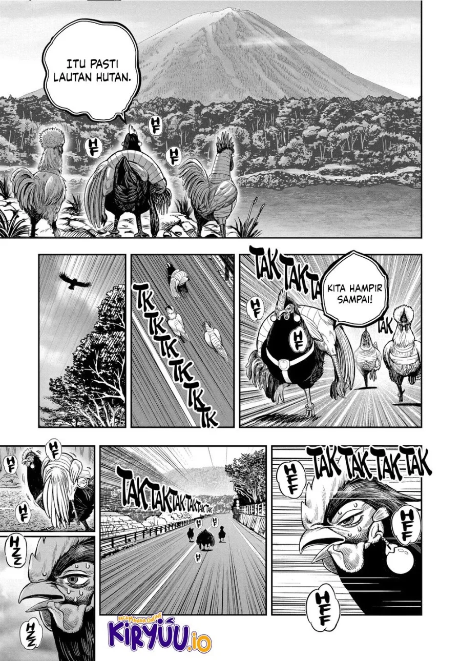 Rooster Fighter Chapter 36 - halaman 23