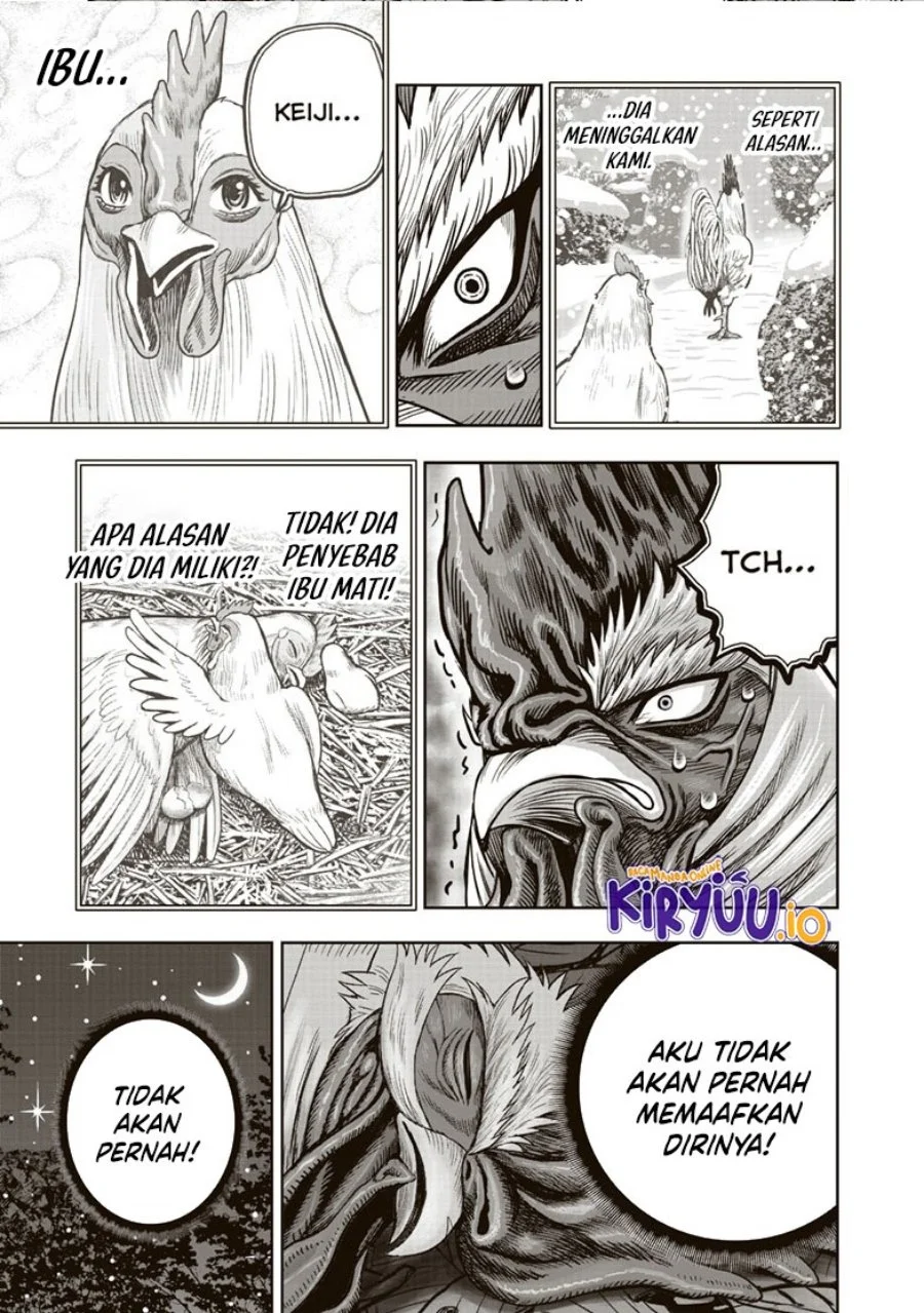Rooster Fighter Chapter 37 - halaman 16