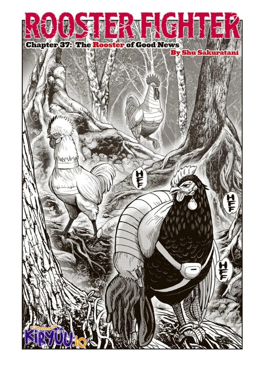 Rooster Fighter Chapter 37 - halaman 2