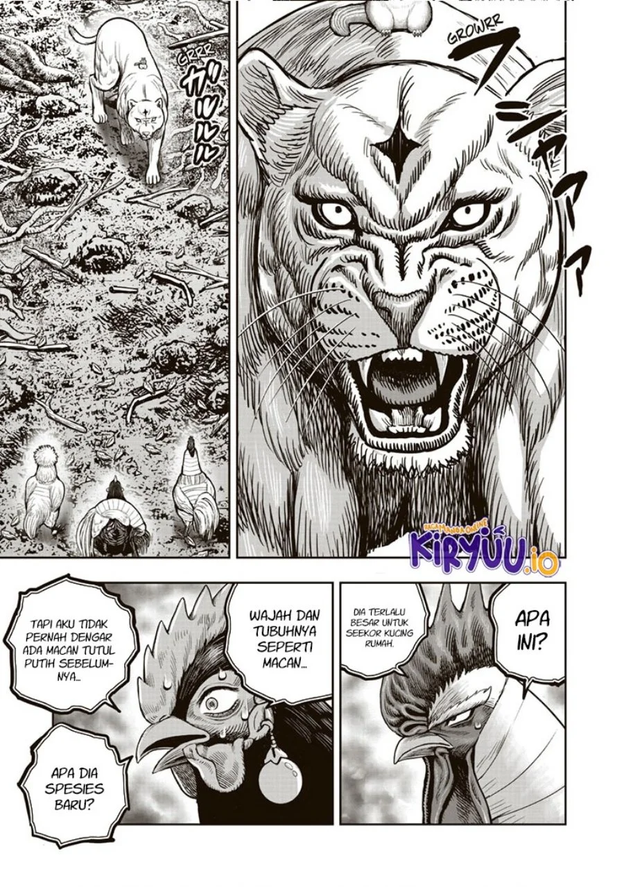 Rooster Fighter Chapter 37 - halaman 22