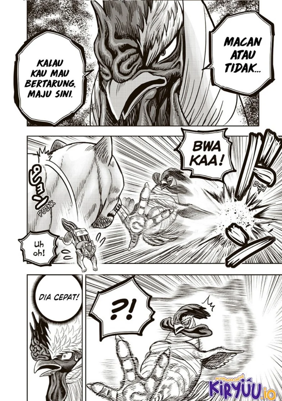 Rooster Fighter Chapter 37 - halaman 25