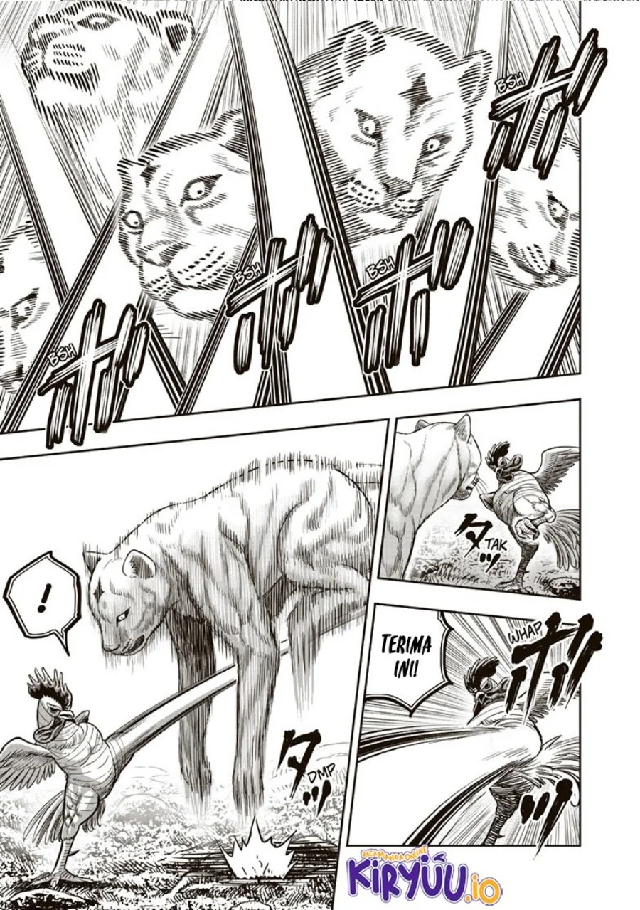 Rooster Fighter Chapter 37 - halaman 28