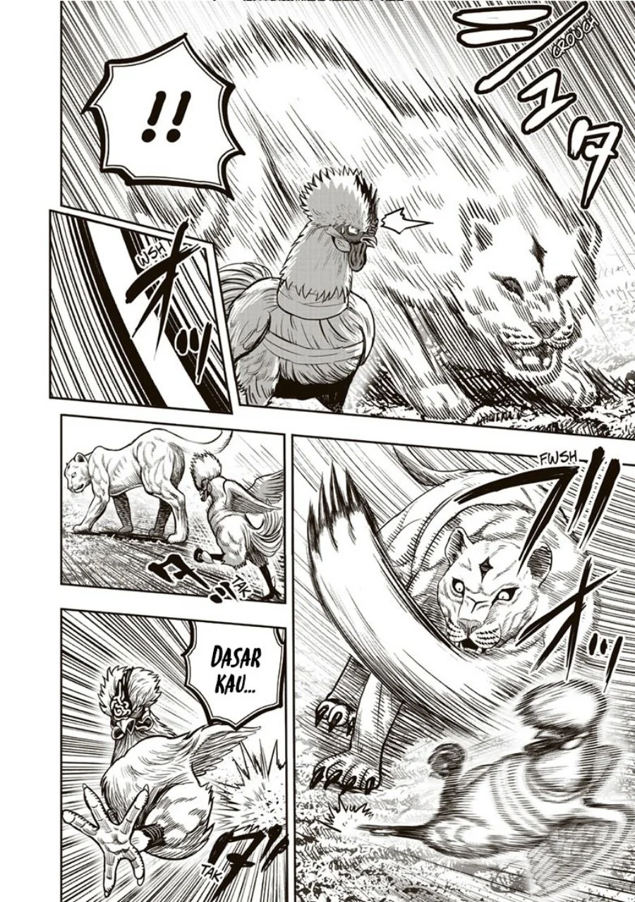 Rooster Fighter Chapter 37 - halaman 31