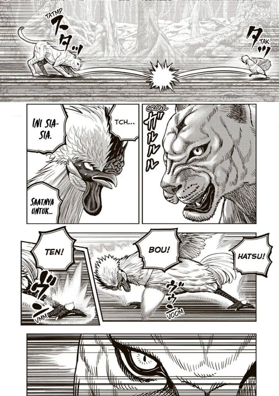 Rooster Fighter Chapter 37 - halaman 33