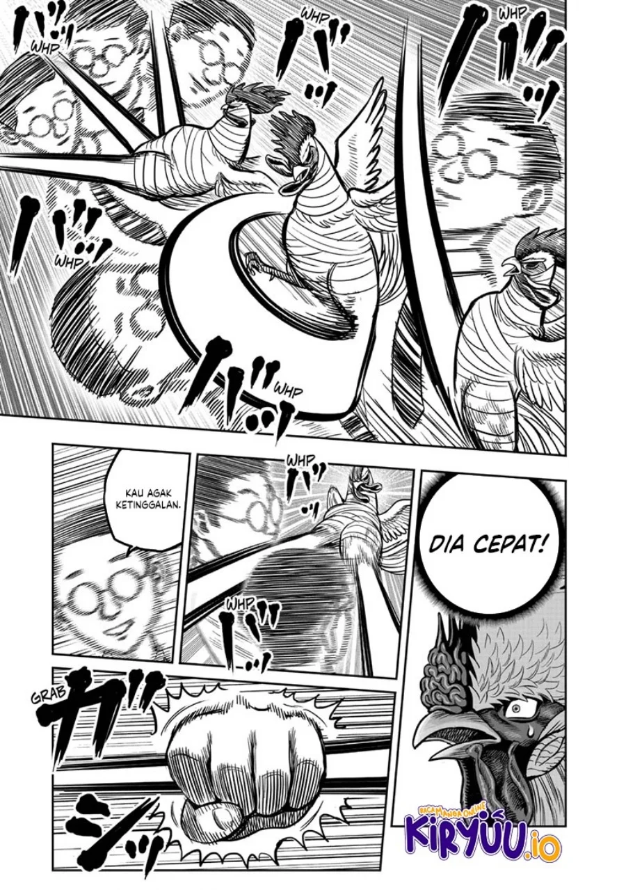 Rooster Fighter Chapter 39 - halaman 16