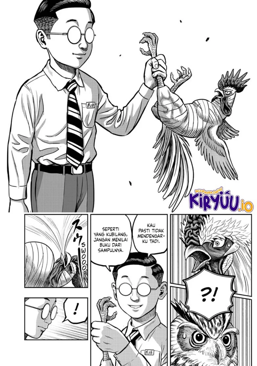 Rooster Fighter Chapter 39 - halaman 17