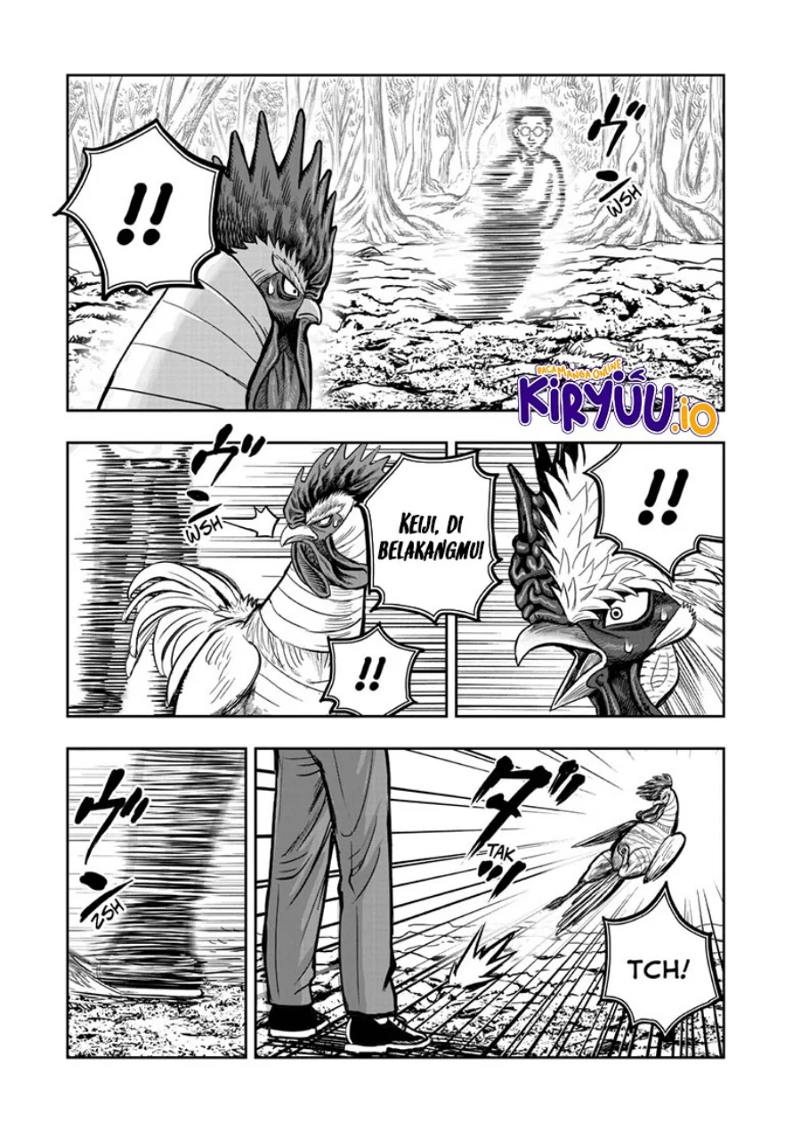 Rooster Fighter Chapter 39 - halaman 20
