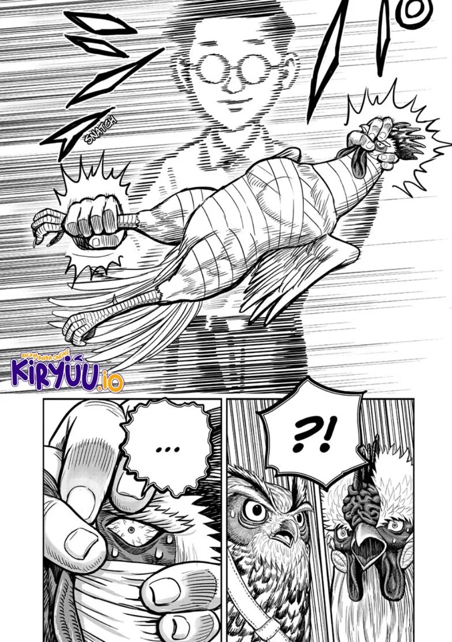 Rooster Fighter Chapter 39 - halaman 21
