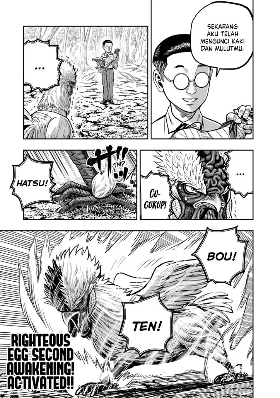 Rooster Fighter Chapter 39 - halaman 22
