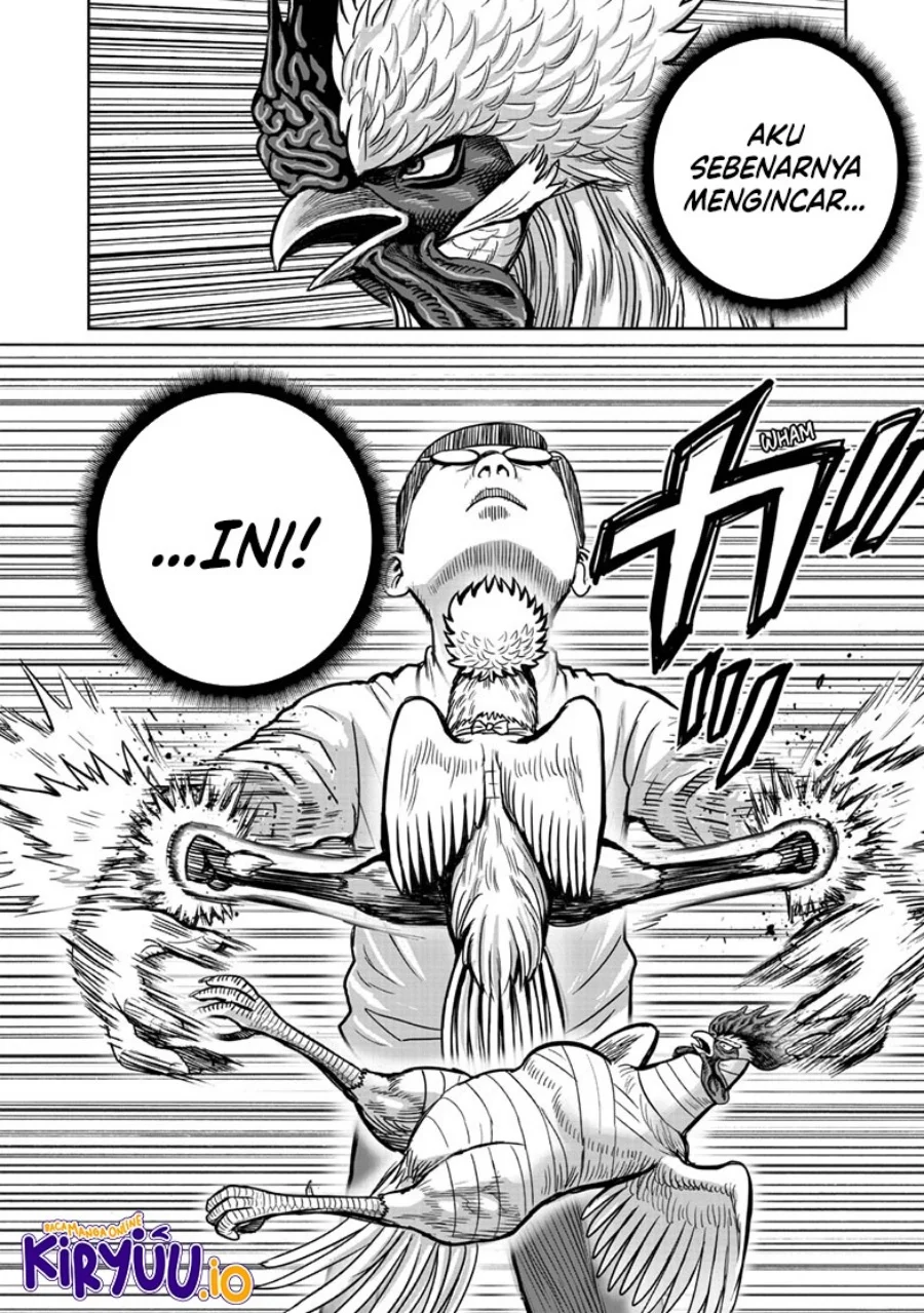 Rooster Fighter Chapter 39 - halaman 25