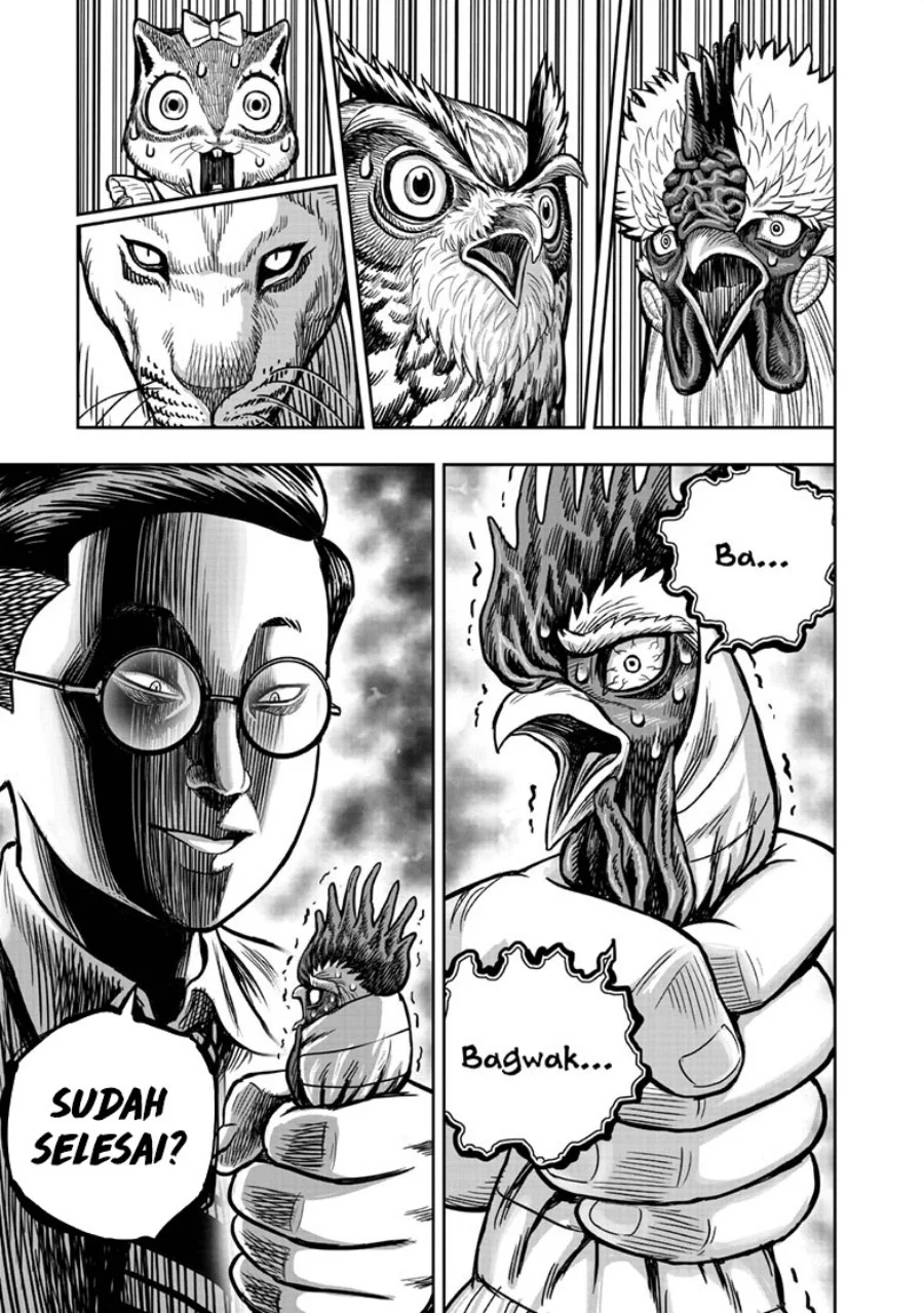 Rooster Fighter Chapter 39 - halaman 38