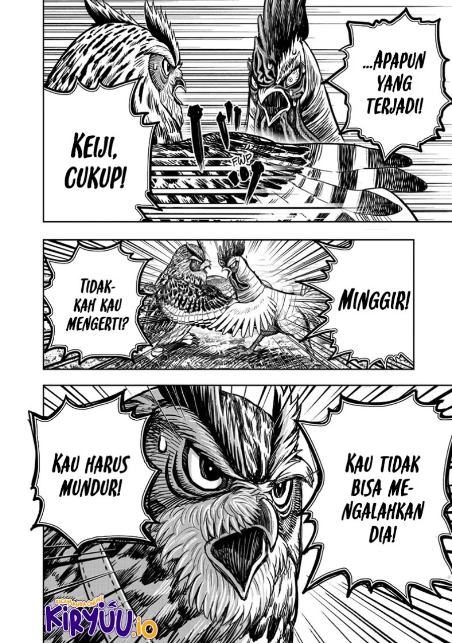 Rooster Fighter Chapter 39 - halaman 43