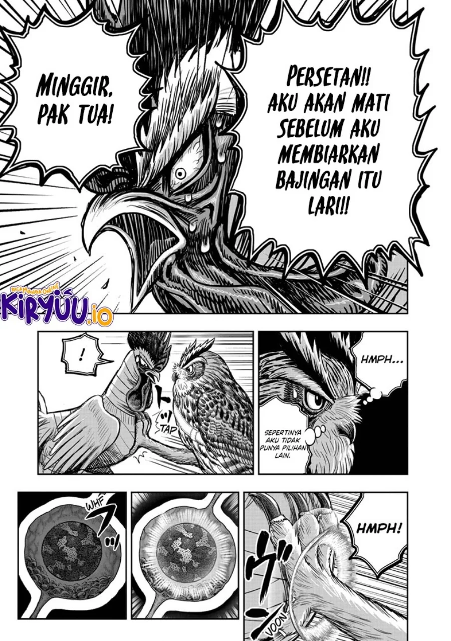 Rooster Fighter Chapter 39 - halaman 44