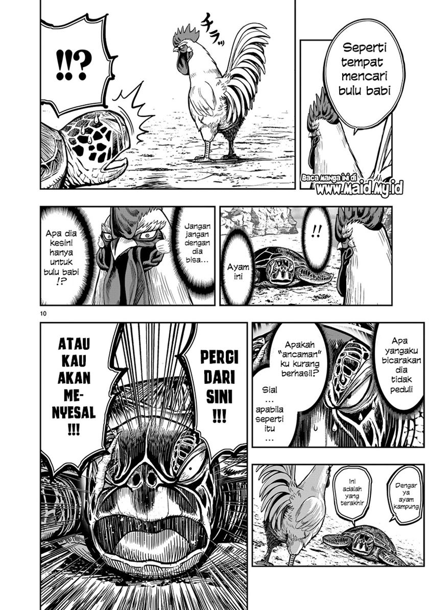 Rooster Fighter Chapter 4 - halaman 12