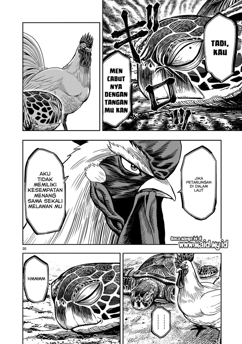 Rooster Fighter Chapter 4 - halaman 22