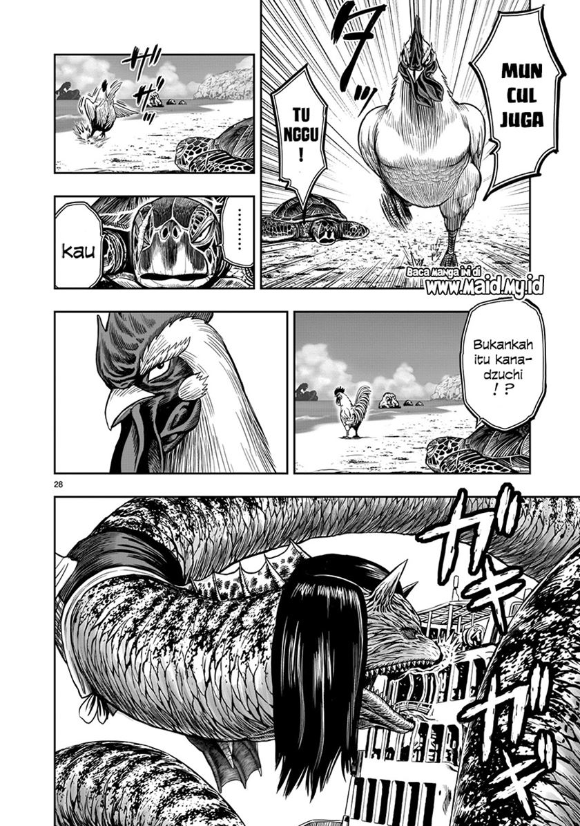 Rooster Fighter Chapter 4 - halaman 29