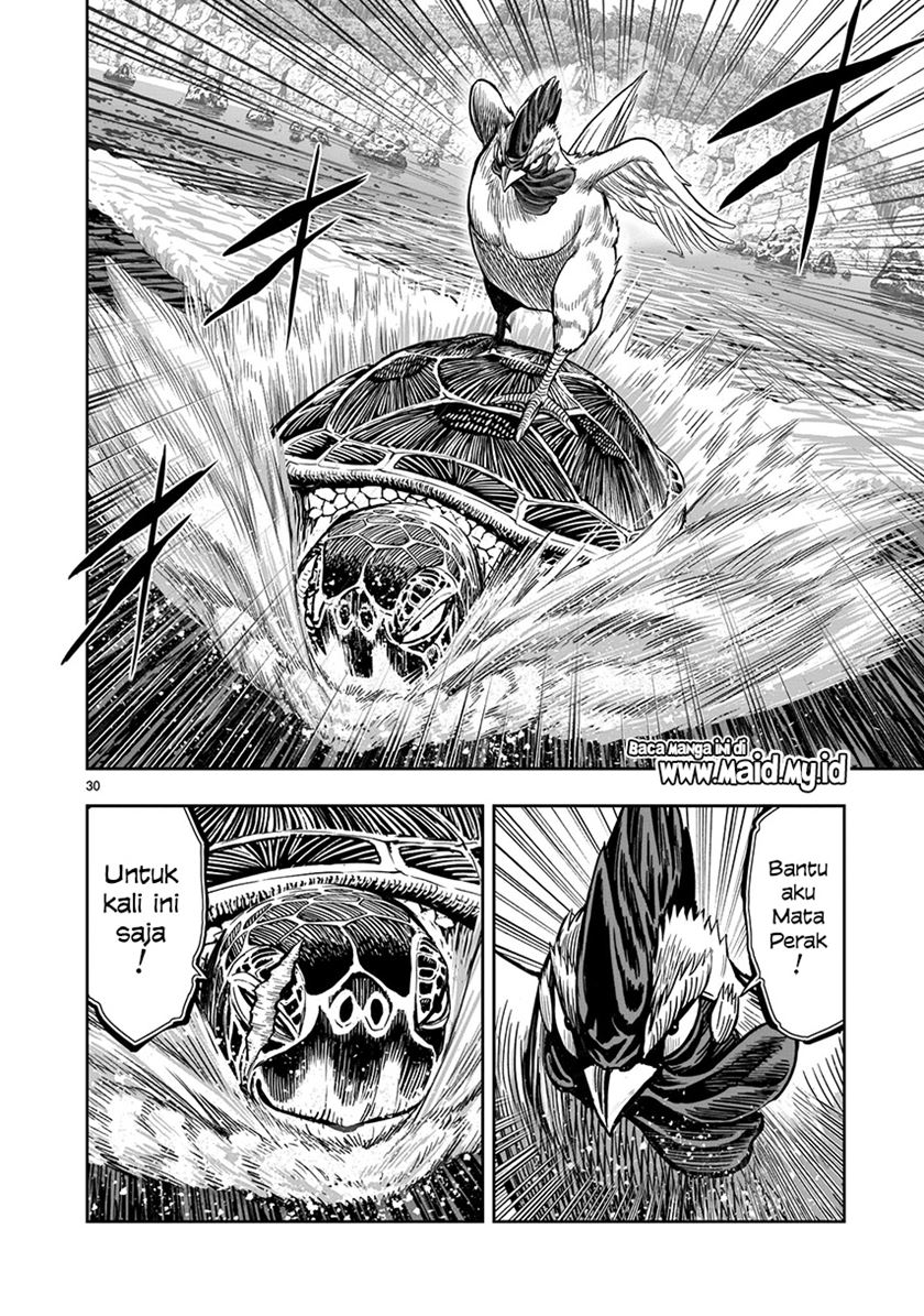 Rooster Fighter Chapter 4 - halaman 31