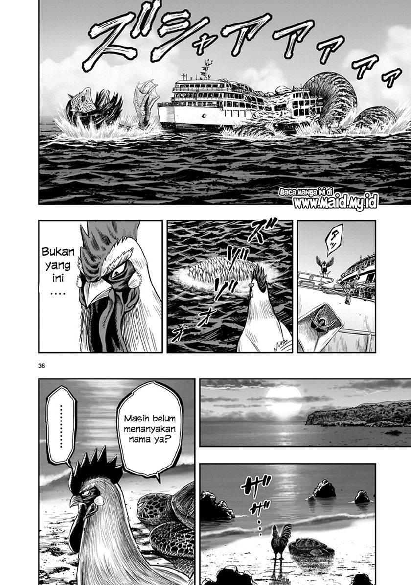 Rooster Fighter Chapter 4 - halaman 36