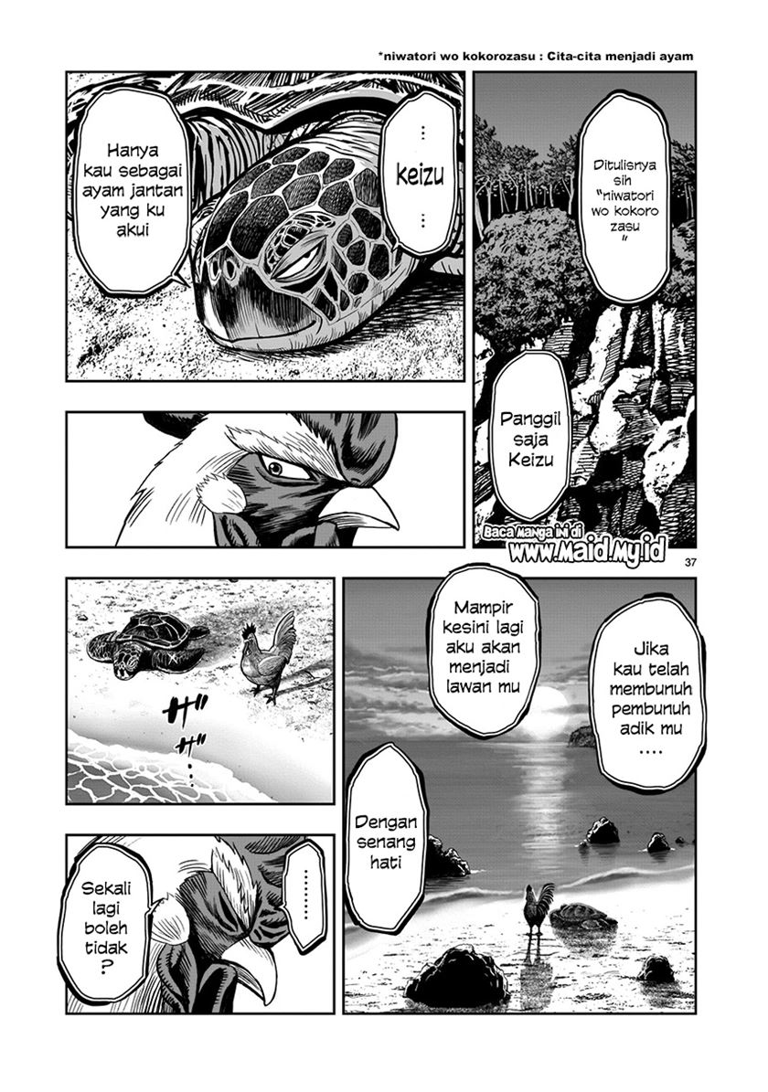 Rooster Fighter Chapter 4 - halaman 37