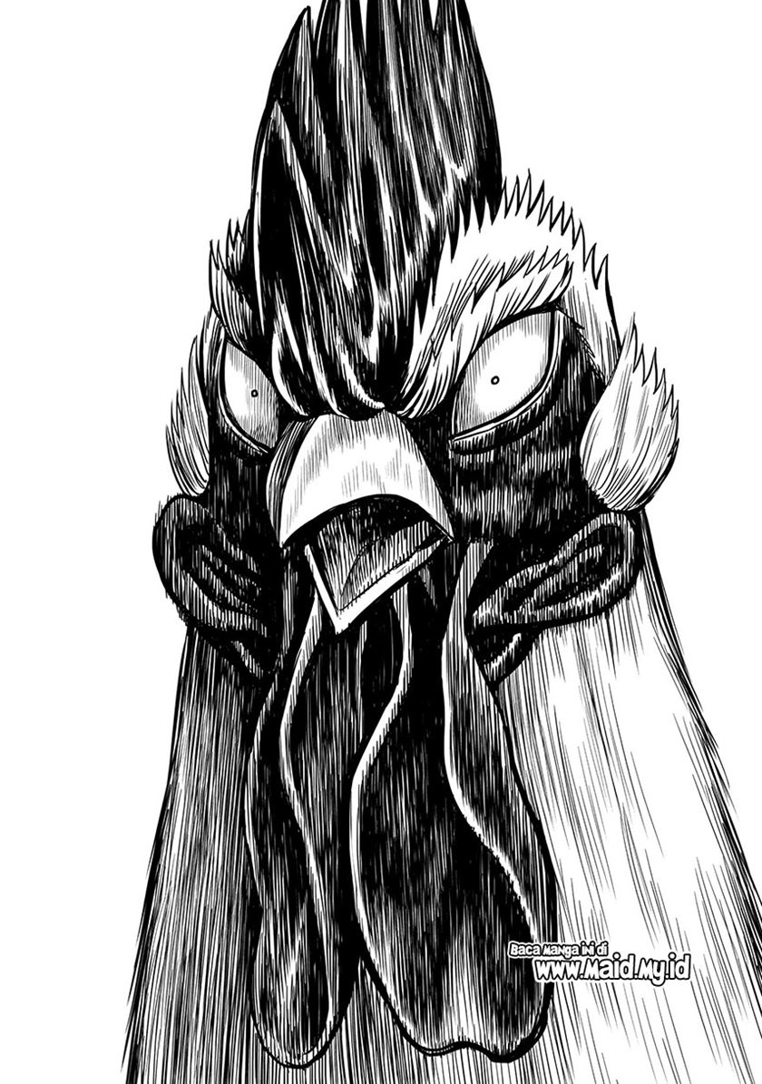 Rooster Fighter Chapter 4 - halaman 8