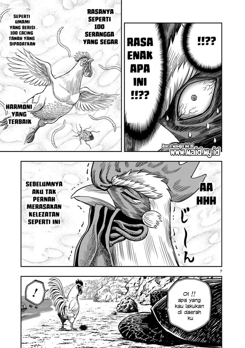 Rooster Fighter Chapter 4 - halaman 9
