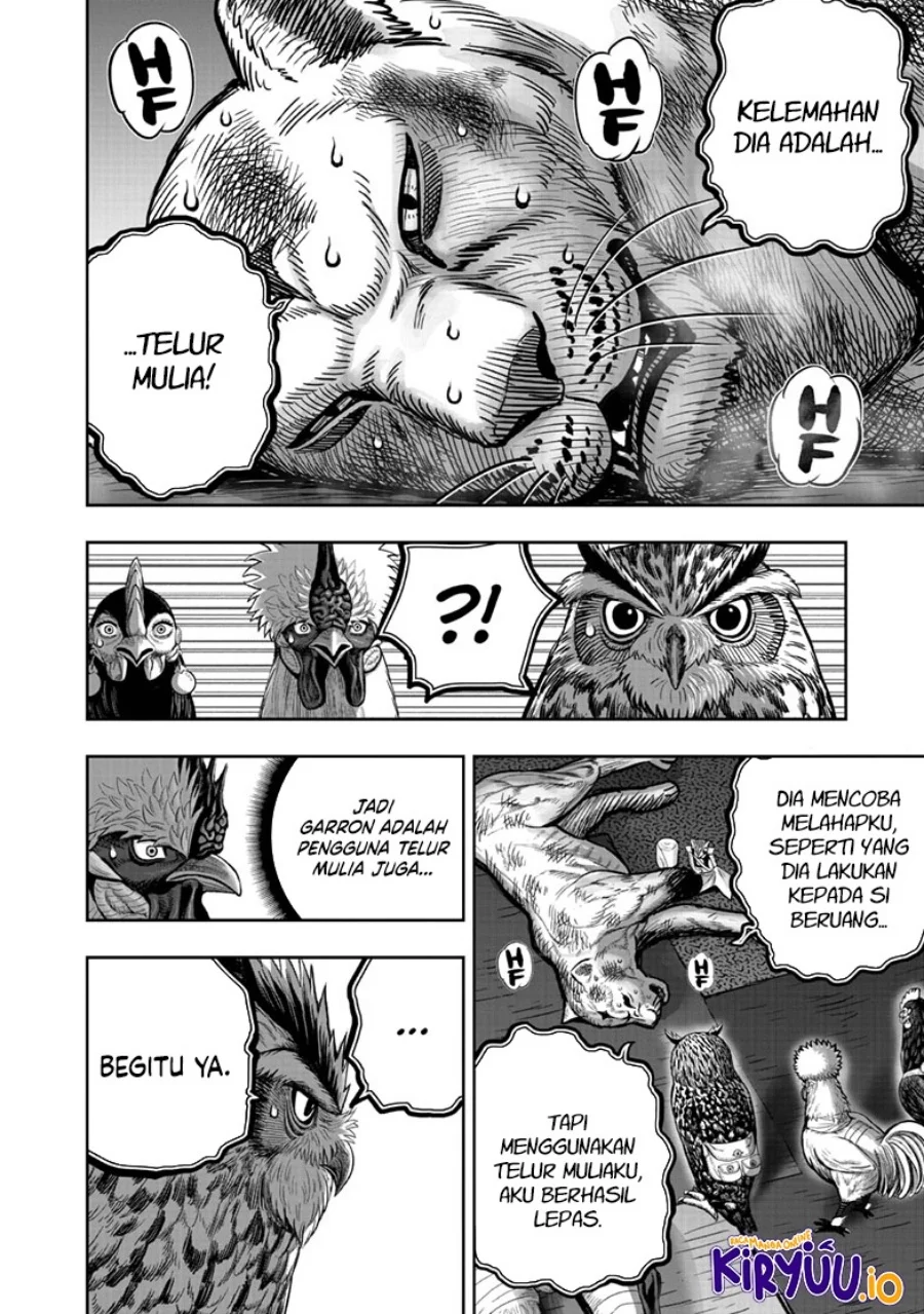 Rooster Fighter Chapter 41 - halaman 17