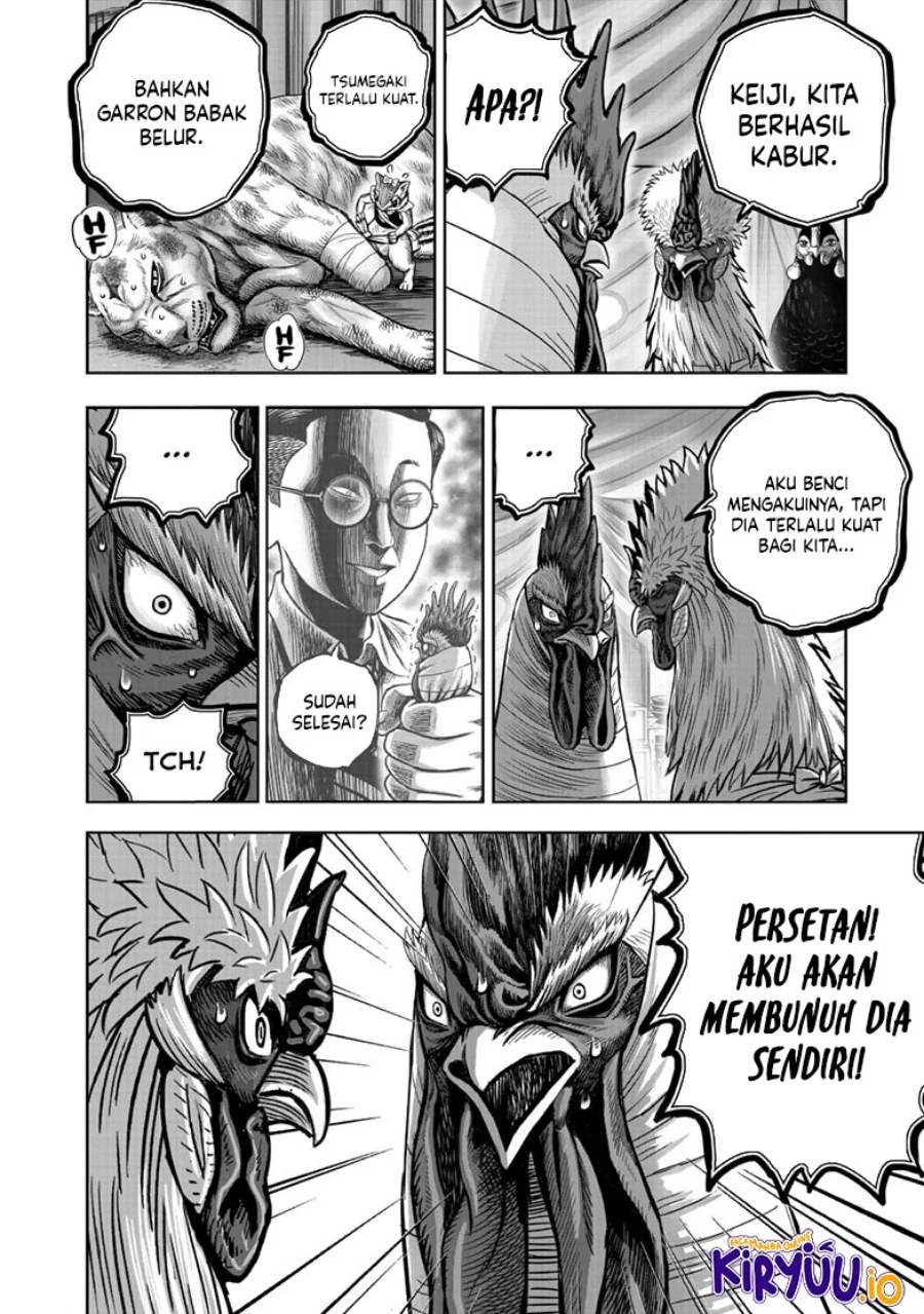 Rooster Fighter Chapter 41 - halaman 19