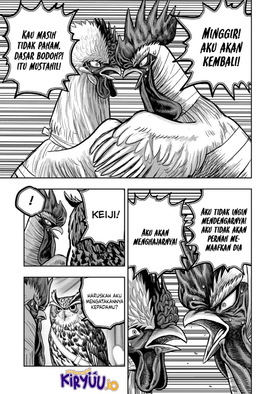 Rooster Fighter Chapter 41 - halaman 20