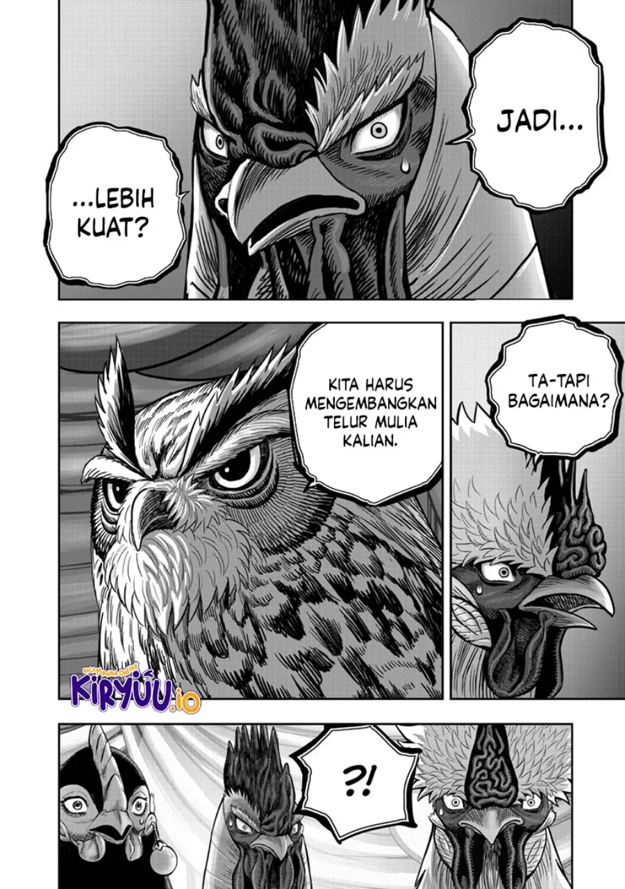Rooster Fighter Chapter 41 - halaman 25