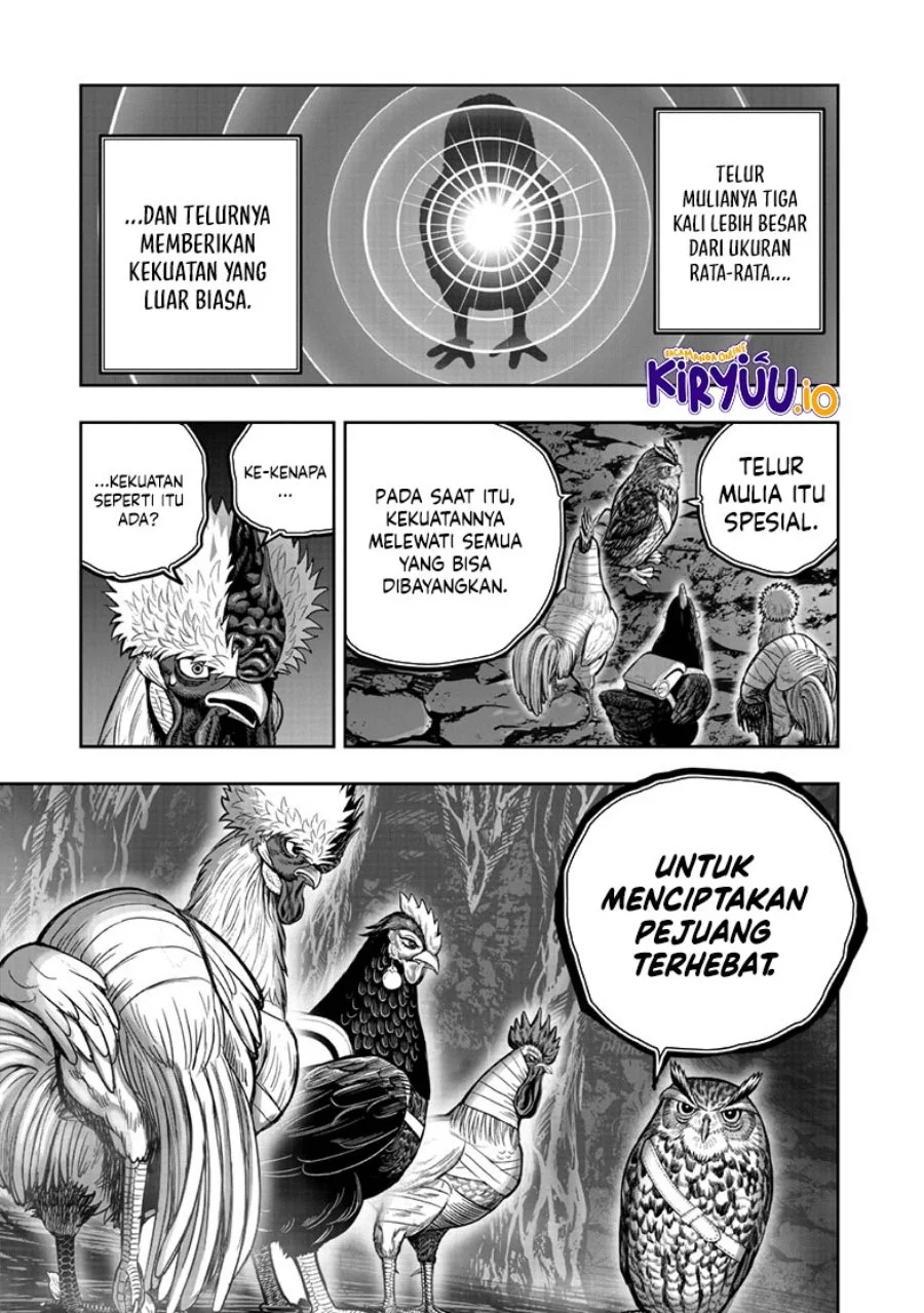 Rooster Fighter Chapter 43 - halaman 20