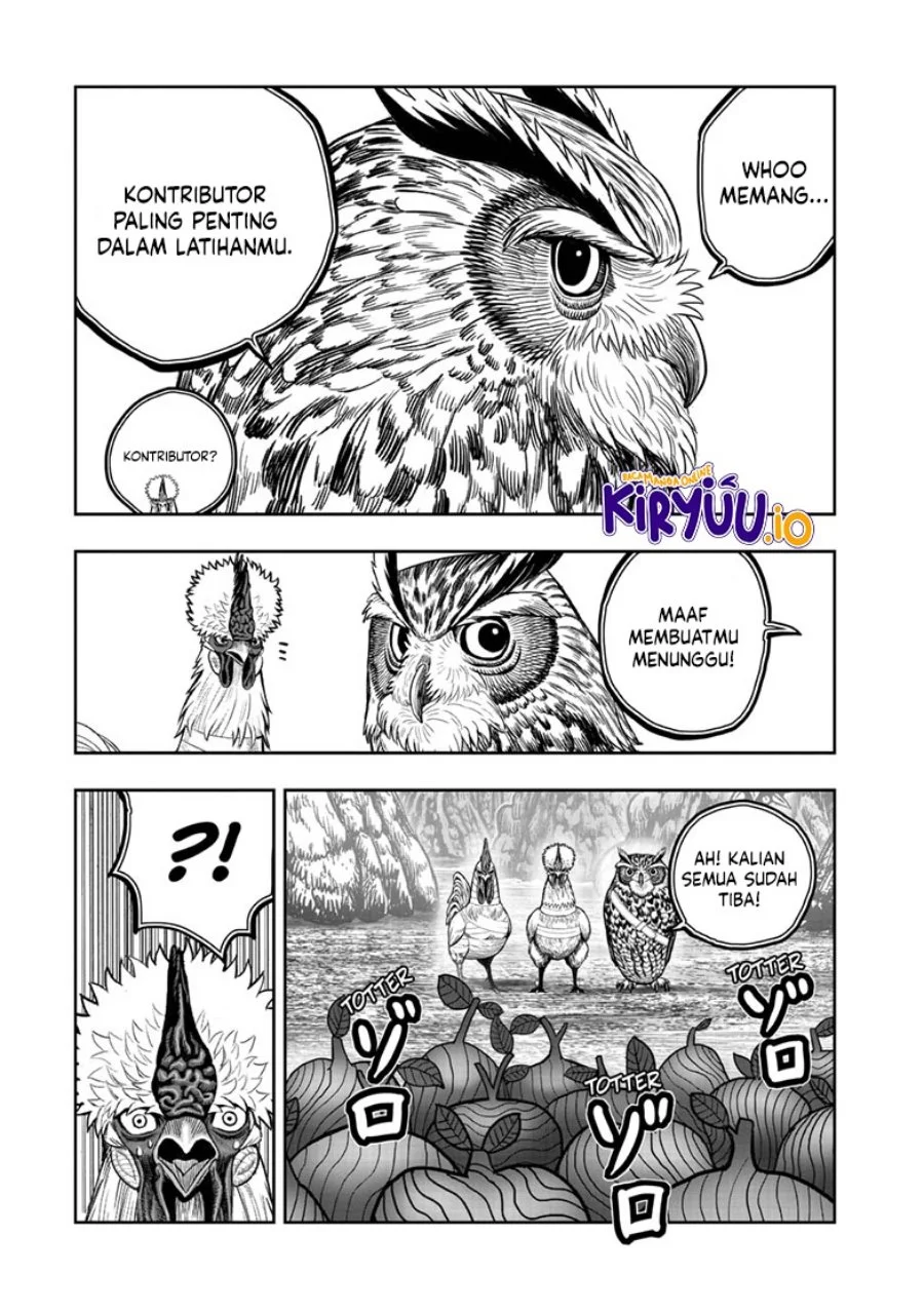 Rooster Fighter Chapter 46 - halaman 31