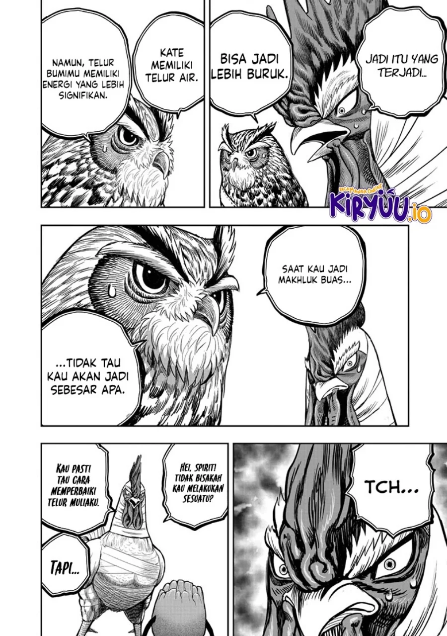 Rooster Fighter Chapter 47 - halaman 21