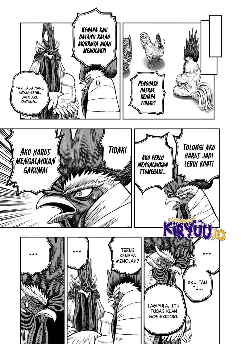 Rooster Fighter Chapter 48 - halaman 20