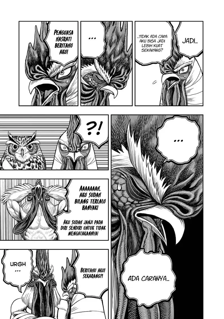 Rooster Fighter Chapter 48 - halaman 22