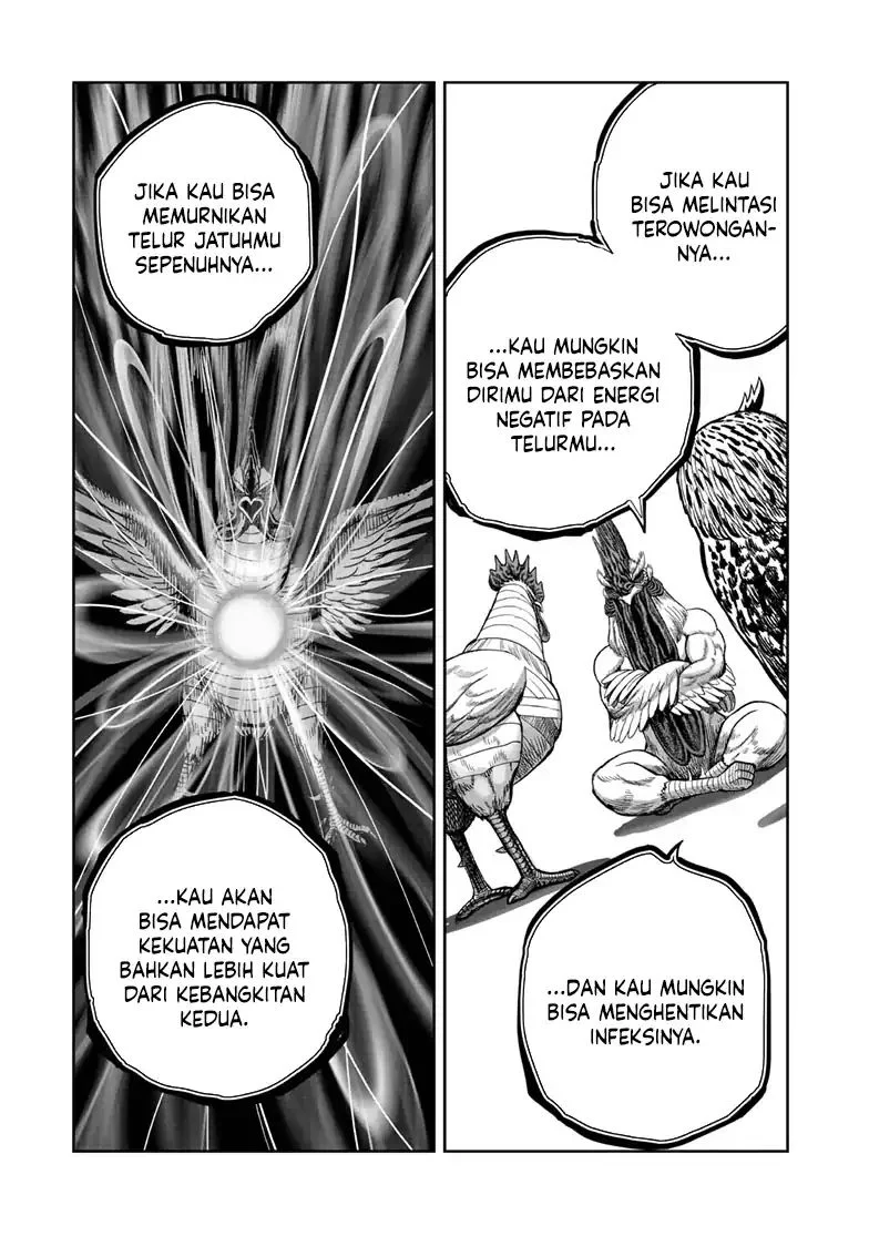 Rooster Fighter Chapter 48 - halaman 24