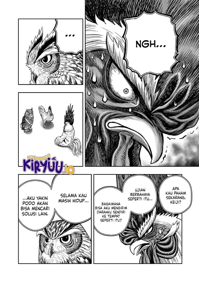 Rooster Fighter Chapter 48 - halaman 31