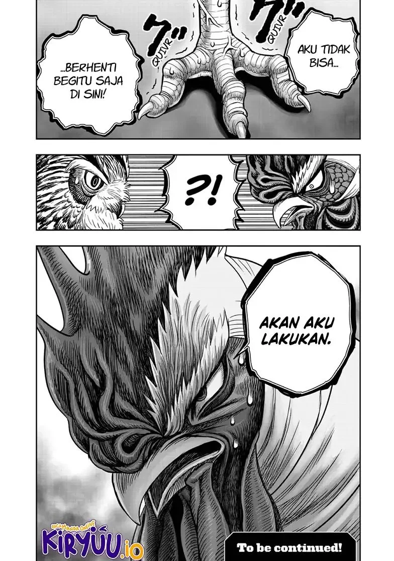 Rooster Fighter Chapter 48 - halaman 33