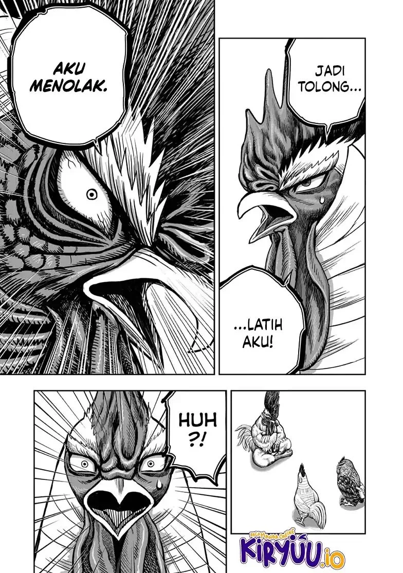 Rooster Fighter Chapter 48 - halaman 8