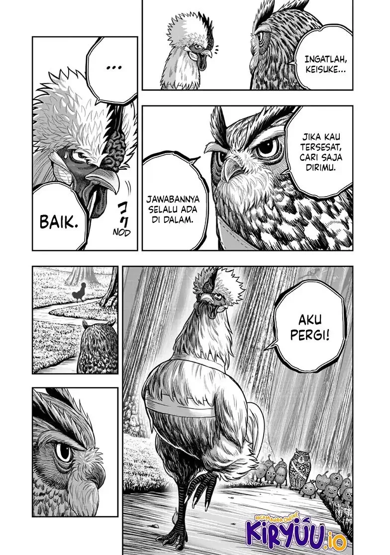 Rooster Fighter Chapter 49 - halaman 14