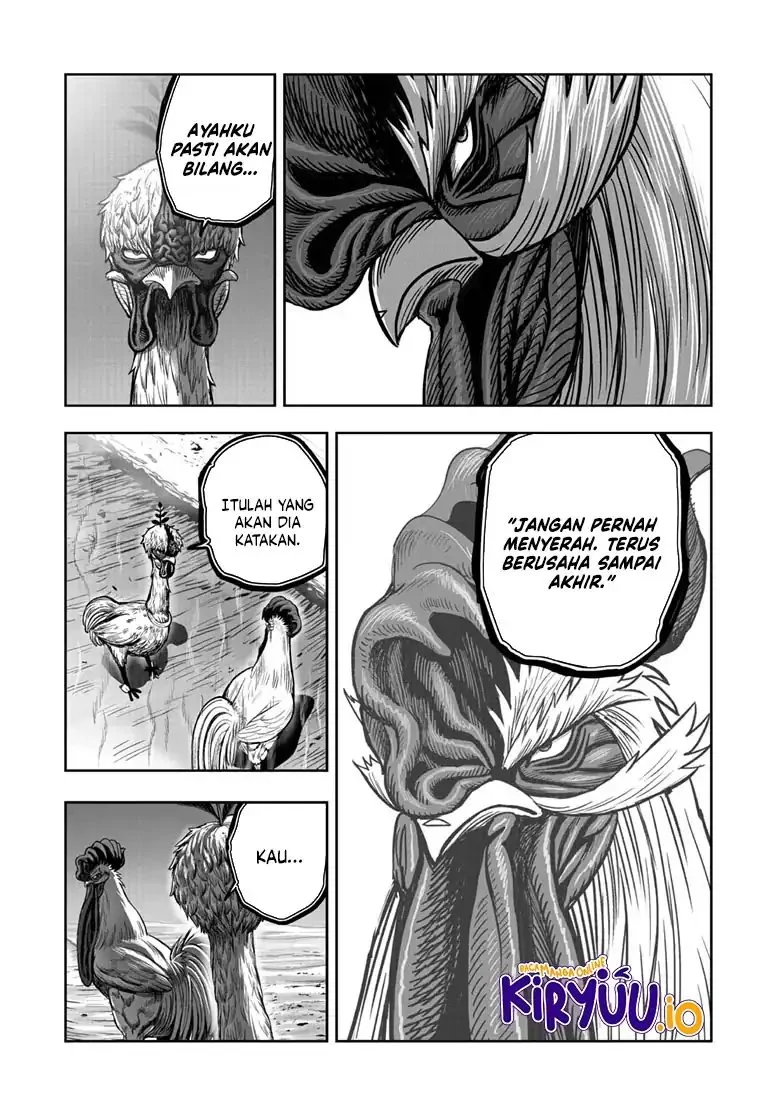 Rooster Fighter Chapter 49 - halaman 36