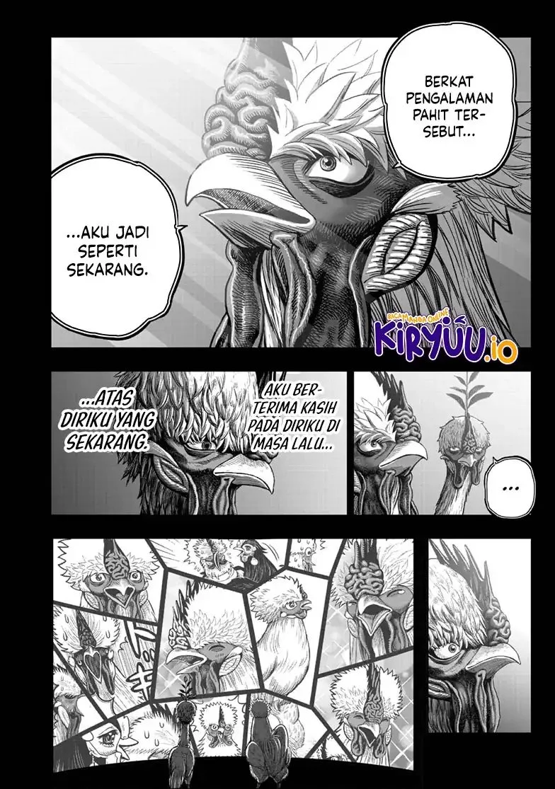 Rooster Fighter Chapter 49 - halaman 47