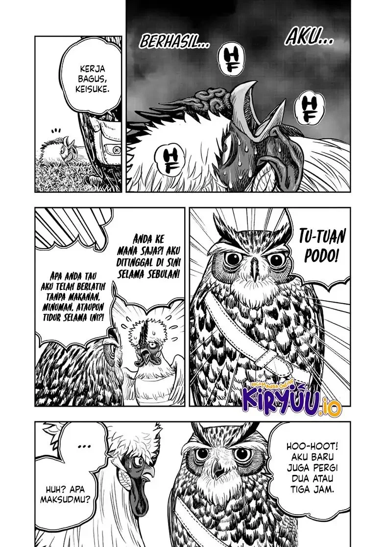 Rooster Fighter Chapter 49 - halaman 5