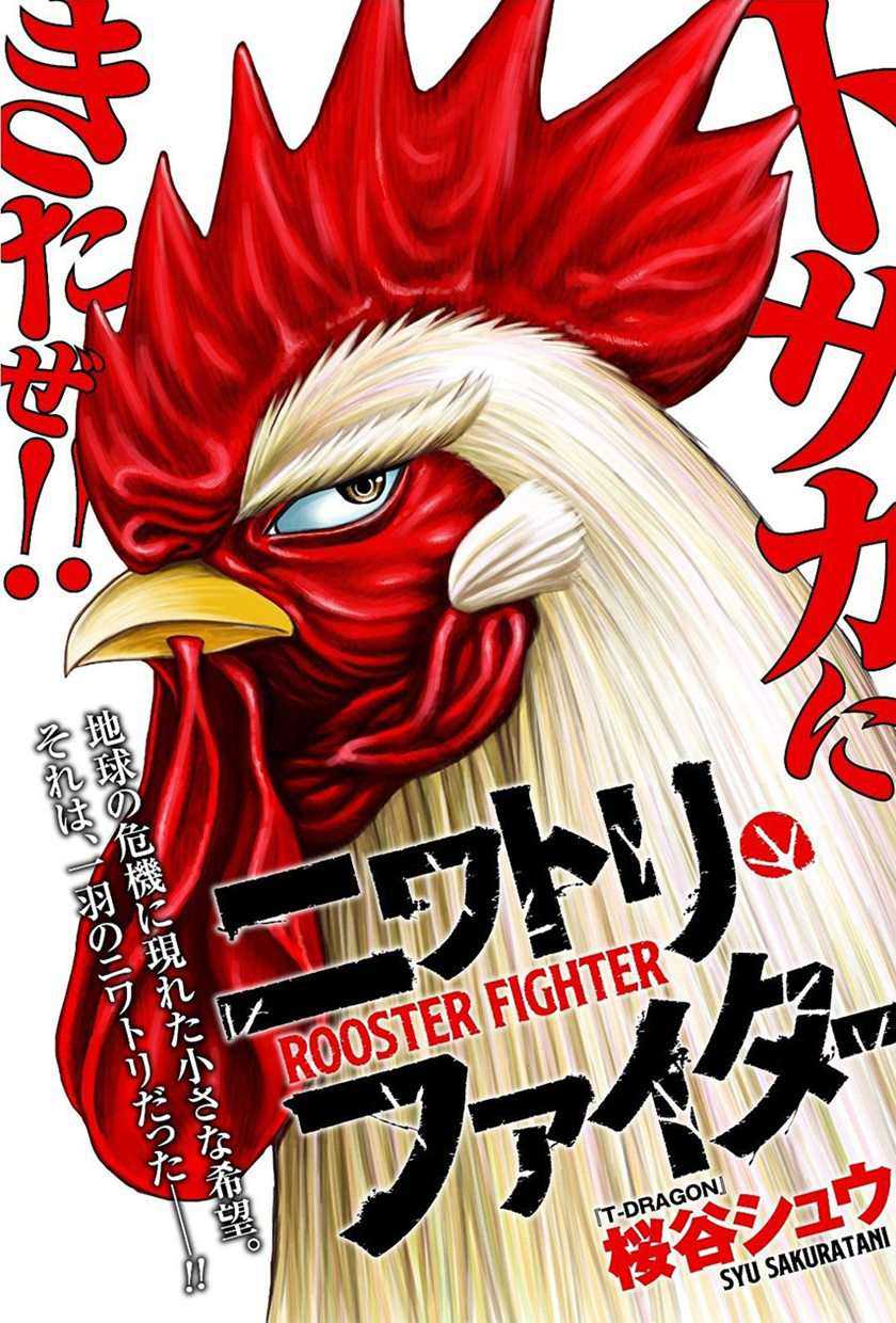 Rooster Fighter Chapter 5 - halaman 1