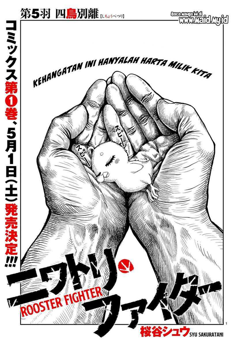 Rooster Fighter Chapter 5 - halaman 3