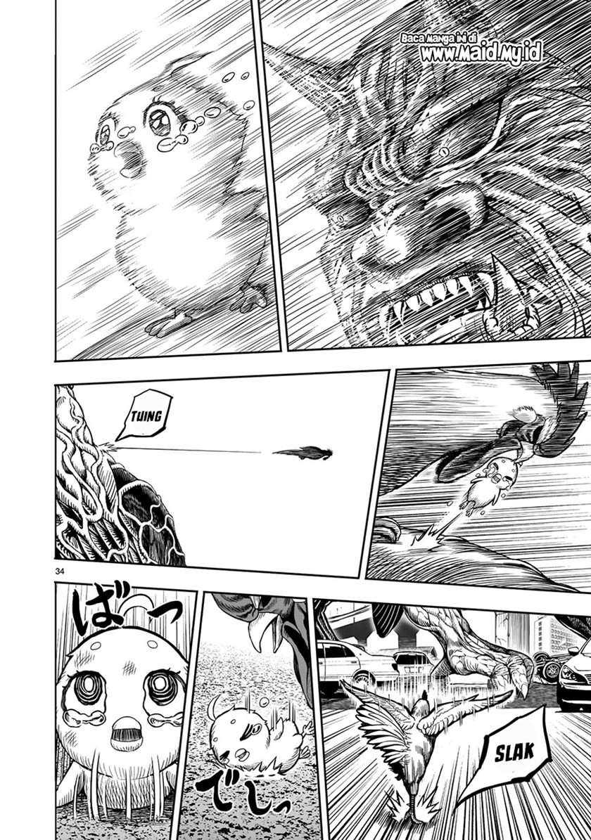 Rooster Fighter Chapter 5 - halaman 36