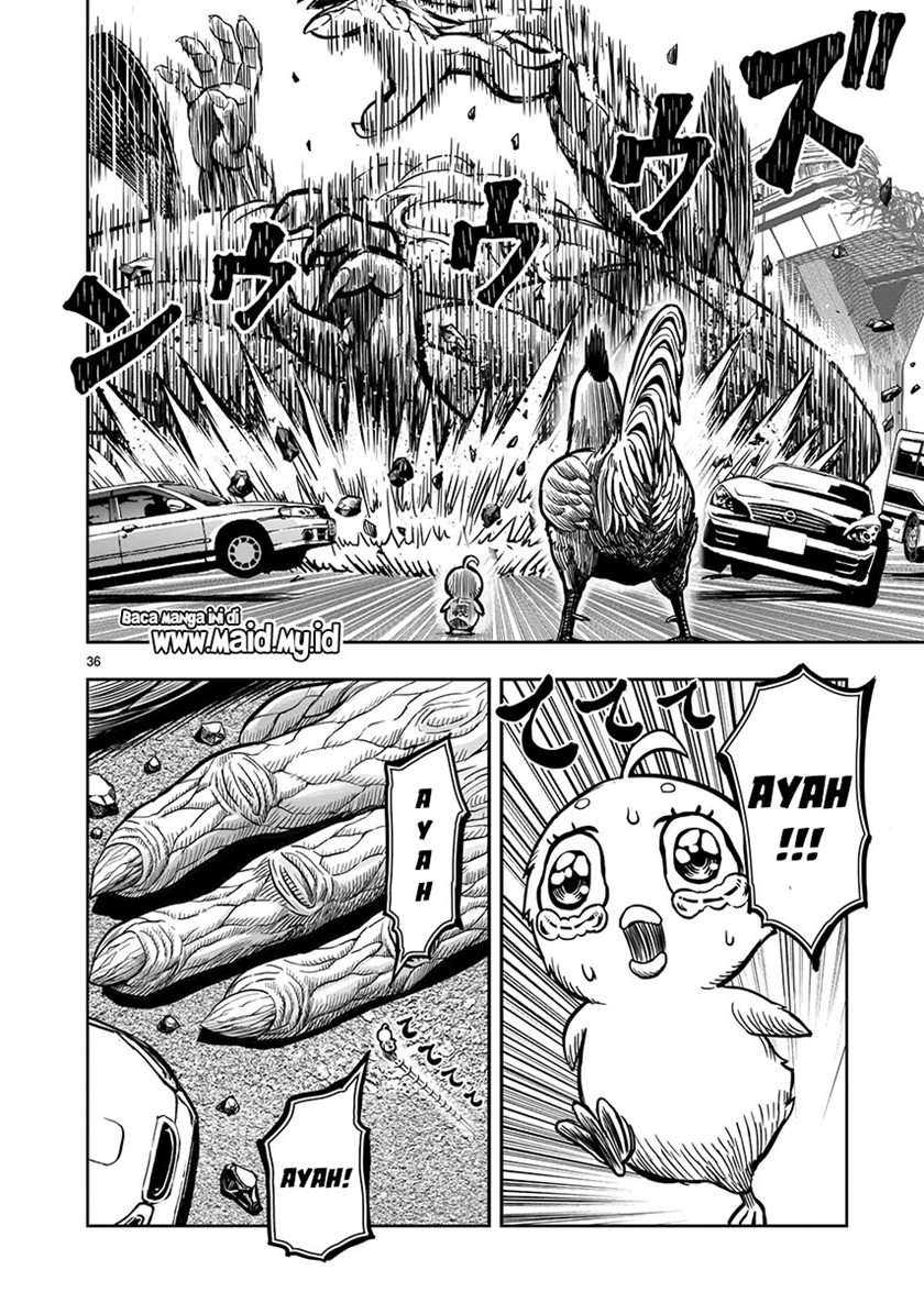 Rooster Fighter Chapter 5 - halaman 38