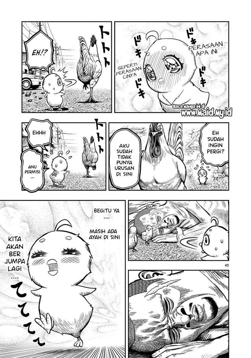 Rooster Fighter Chapter 5 - halaman 45