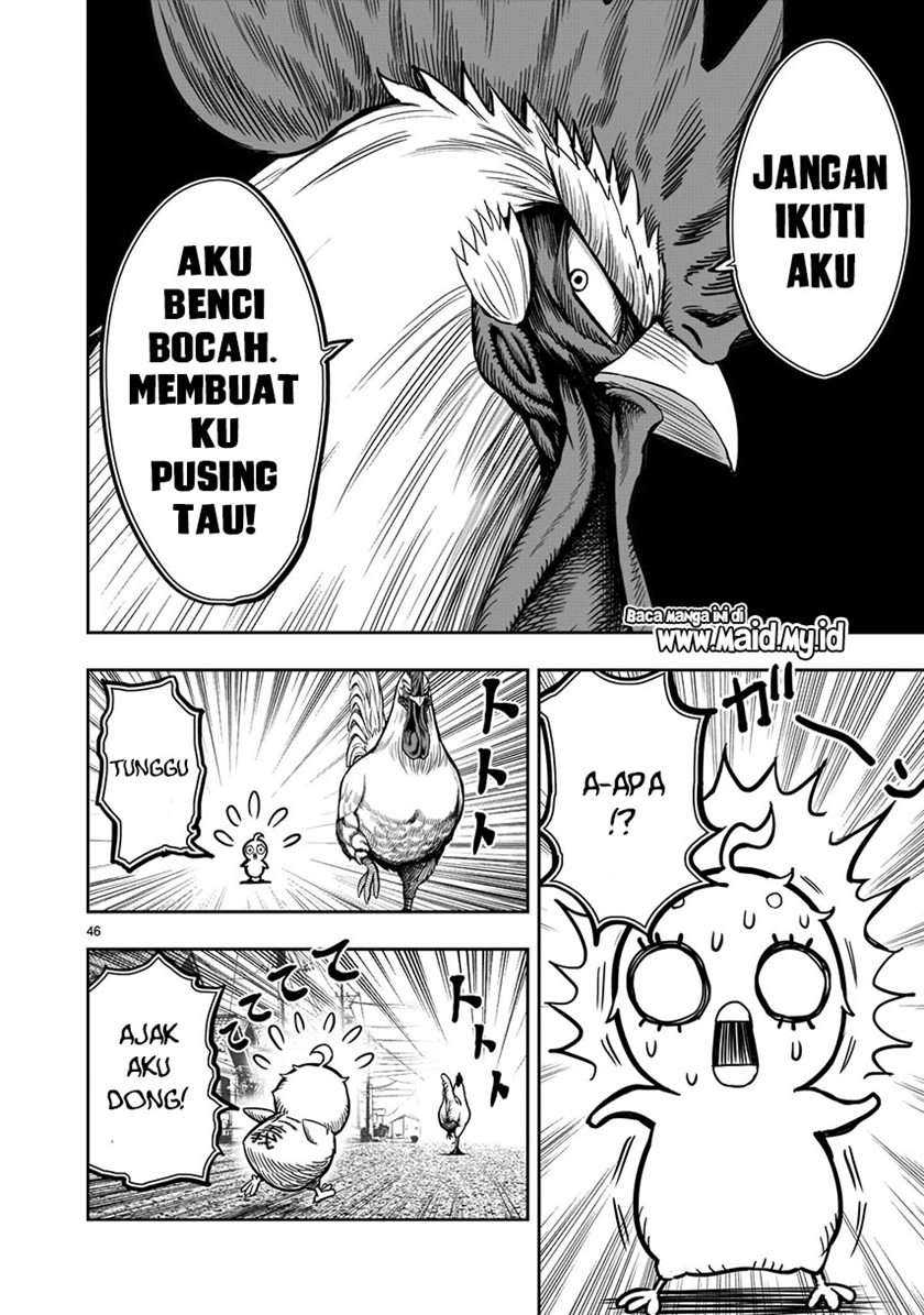 Rooster Fighter Chapter 5 - halaman 48