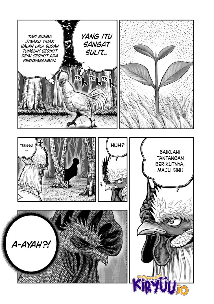 Rooster Fighter Chapter 50 - halaman 21